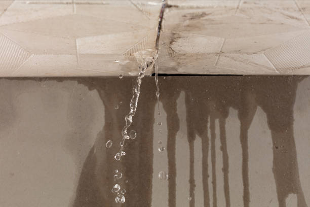 Professional Burst Pipe Cleanup technician working in Dunlap, TN